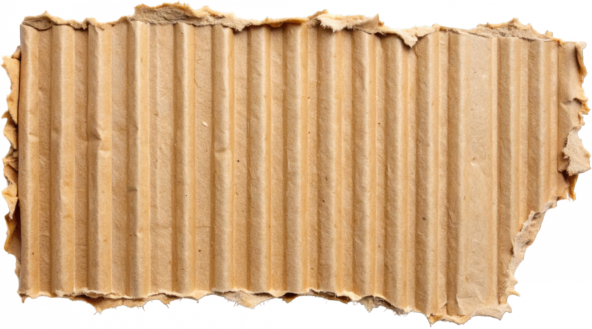 # Venez découvrir la filière du papier carton !