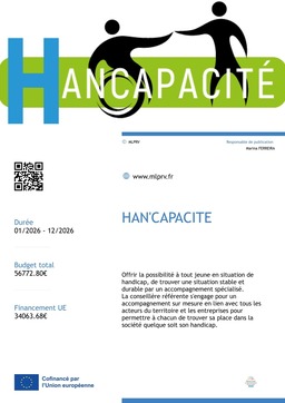 Hancapacité